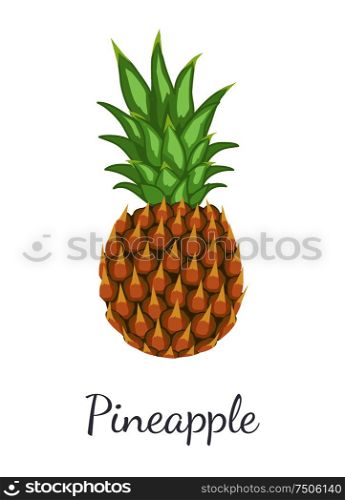 Pineapple tropical plant with edible multiple fruit vector isolated icon. Tropical food, dieting vegetarian exotic item with vitamins, common ananas. Pineapple Tropical Plant Edible Multiple Fruit