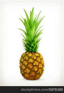 Pineapple vector