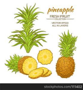 pineapple vector set. pineapple fruit vector set on white background