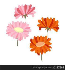 Pink and orange gerbera on white stock vector illustration for wallpaper