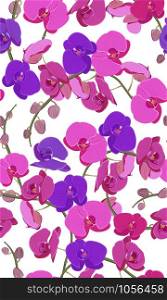 Pink and purple orchid floral seamless pattern. Flowers bloom blossom foliage bouquet on white background.
