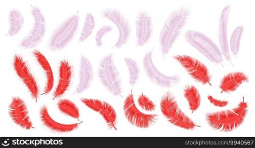 Pink and red feathers. Realistic flamingo fluffy plumage, parrot and exotic bird feather isolated collection. Bright decorative elements in different angles, vector isolated on white background set. Pink and red feathers. Realistic flamingo fluffy plumage, parrot and exotic bird feather isolated collection. Bright decorative elements in different angles, vector isolated set