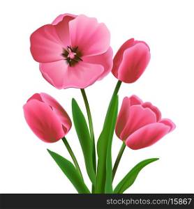 Pink beautiful blossoming tulip flower bouquet realistic vector illustration