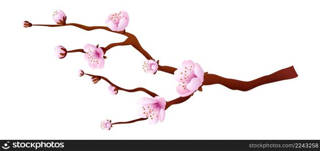 Pink bloosom tree. Sakura branch. Japanese cherry. Vector illustration. Pink bloosom tree. Sakura branch. Japanese cherry