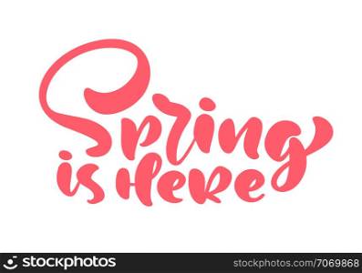 Pink Calligraphy lettering phrase Spring is Here. Vector Hand Drawn Isolated text. sketch doodle design for greeting card, scrapbook, print.. Pink Calligraphy lettering phrase Spring is Here. Vector Hand Drawn Isolated text. sketch doodle design for greeting card, scrapbook, print