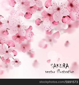 Pink Cherry Sakura Print. Beautiful print with blossoming dark and light pink sakura flowers and title vector illustration