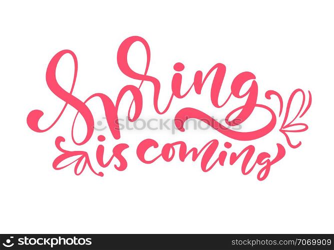 Pink Color Calligraphy lettering phrase Spring Is Coming. Vector Hand Drawn Isolated text. sketch doodle design for greeting card, scrapbook, print.. Pink Color Calligraphy lettering phrase Spring Is Coming. Vector Hand Drawn Isolated text. sketch doodle design for greeting card, scrapbook, print