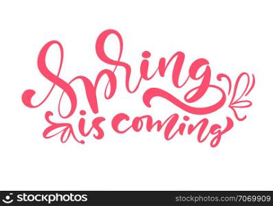 Pink Color Calligraphy lettering phrase Spring Is Coming. Vector Hand Drawn Isolated text. sketch doodle design for greeting card, scrapbook, print.. Pink Color Calligraphy lettering phrase Spring Is Coming. Vector Hand Drawn Isolated text. sketch doodle design for greeting card, scrapbook, print