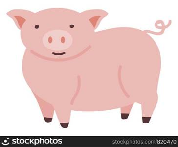 Pink cute pig, illustration, vector on white background.