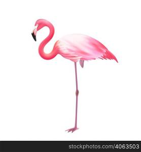 Pink elegant flamingo bird standing on one leg against white background realistic isolated image icon illustration vector . Pink Flamingo One Leg Realistic Icon