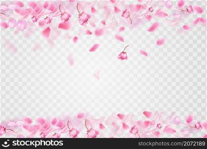 Pink falling sakura petals.Nature horizontal black background.
