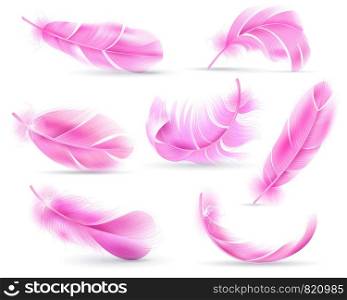 Pink feathers. Bird or angel feather, birds plumage. Flying fluff, falling fluffy twirled flamingo feathers. Realistic 3d vector isolated white shadow object set. Pink feathers. Bird or angel feather, birds plumage. Flying fluff, falling fluffy twirled flamingo feathers. Realistic 3d vector set