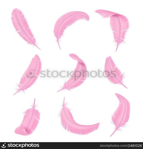Pink feathers. Delicate color realistic bird feathering. Smooth and fluffy avian plume. Glamorous boa weightless elements. Flamingo wings plumage. Vector differently curved isolated light quills set. Pink feathers. Delicate color realistic bird feathering. Smooth and fluffy plume. Glamorous boa weightless elements. Flamingo wings plumage. Vector differently curved isolated quills set
