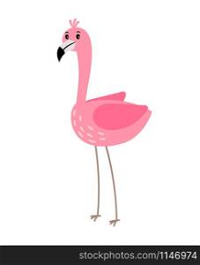 Pink flamingo bird cartoon icon on white background, vector illustration. Pink flamingo bird