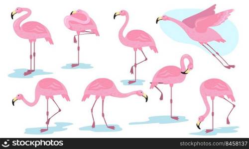 Pink flamingo bird in different poses flat set for web design. Cartoon flamingo standing, flying and resting isolated vector illustration collection. Vacation, wildlife and animals concept