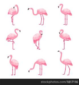 Pink flamingo. Cartoon cute zoo animal. Tropical fauna characters collection. Exotic bird in various poses. Isolated summer beach decorative elements set. Vector funny winged creatures with long necks. Pink flamingo. Cartoon cute zoo animal. Tropical fauna characters collection. Exotic bird in various poses. Summer beach decorative elements set. Vector winged creatures with long necks