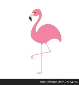 Pink flamingo exotic tropical bird zoo animal vector image