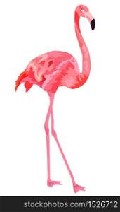 Pink flamingo illustration isolated on white background. Pink flamingo illustration isolated on white background.
