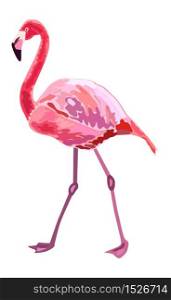 Pink flamingo illustration isolated on white background. Pink flamingo illustration isolated on white background.