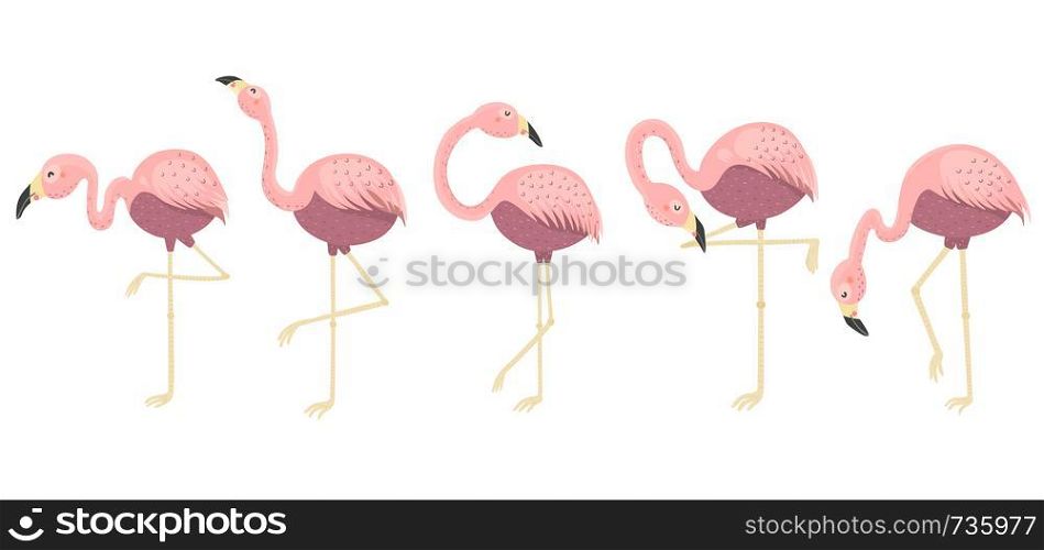 Pink flamingos collection. Isolated elements. Vector illustration