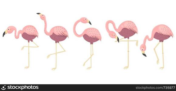 Pink flamingos collection. Isolated elements. Vector illustration