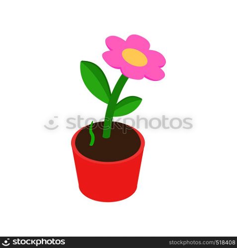 Pink flower in a pot icon in isometric 3d style on a white background. Pink flower in a pot icon, isometric 3d style