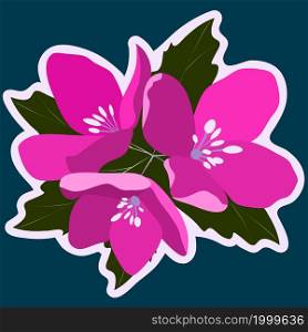 Pink flowers. Social media stickers. Design elements. Vector illustration.