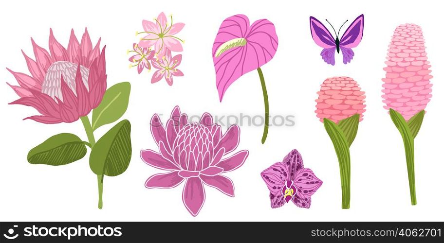 Pink flowers. Tropical flowers collection, hand drawn vector illustrations
