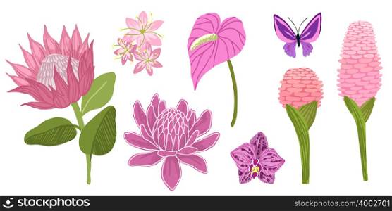 Pink flowers. Tropical flowers collection, hand drawn vector illustrations