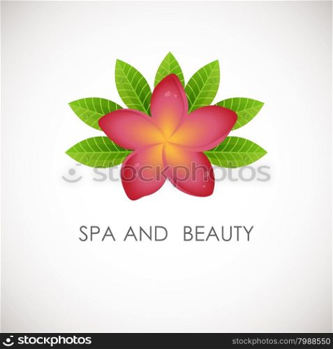 Pink frangipani flower with green leaves logo. Vector logotype for spa, beauty salon, massage or yoga center