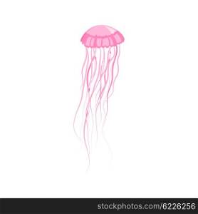 Pink Jellyfish Floating in Space. Pink jellyfish floating in space. Gelatinous pink jellyfish with long tentacles isolated on white background. Marine creature floating in the water. Inhabitant of underwater world. Vector illustration