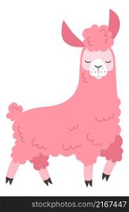 Pink lama. Cute baby girl alpaca character isolatdd on white background. Pink lama. Cute baby girl alpaca character