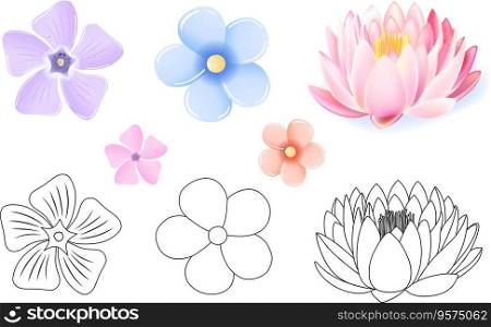 Pink lotus periwinkle forget-me-not pattern vector image