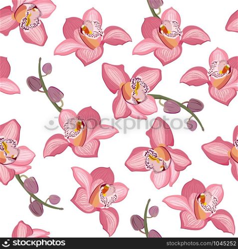Pink orchid floral seamless pattern. Flowers bloom blossom foliage on white background.