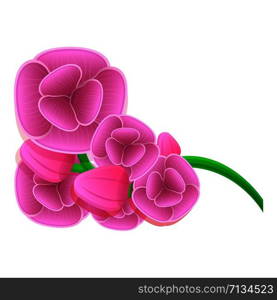 Pink orchid flower icon. Cartoon of pink orchid flower vector icon for web design isolated on white background. Pink orchid flower icon, cartoon style