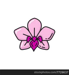 Pink orchid flower national plant of Thailand isolated color line icon. Vector Thai national flower, botanical decoration exotic plant blossom. Blooming jasmine floral design element, cassia fistula. Dendrobium pink orchid flower isolated line icon