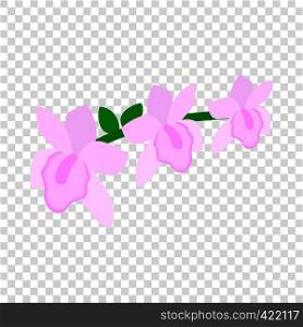 Pink orchid isometric icon 3d on a transparent background vector illustration. Pink orchid isometric icon
