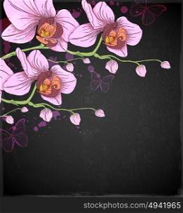 Pink orchids and butterflies on a black background. Hand drawn vector illustration.