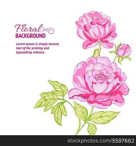 Pink peonies background with sample text. Vector illustration.