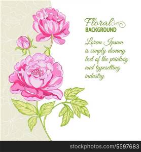 Pink peonies background with sample text. Vector illustration.