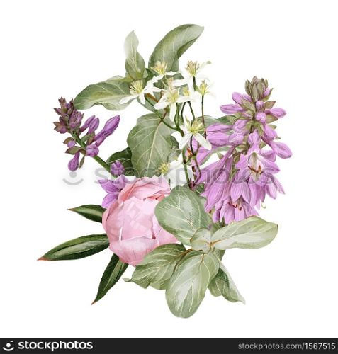 Pink peonies, hosta flowers, clematis and siverberry branch, hand drawn vector watercolor illustration