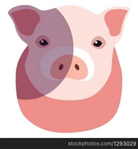 Pink pig, illustration, vector on white background.