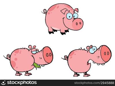 Pink Pigs Collection