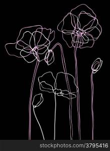 Pink poppies on black background. Vector illustration