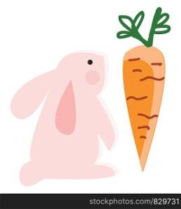 Pink rabbit with carrot vector or color illustration