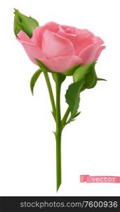 Pink Rose. 3d realistic vector object