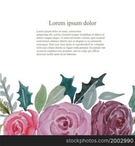 Pink rose green leaves watercolor art design elements stock vector illustration Lorem Ipsum