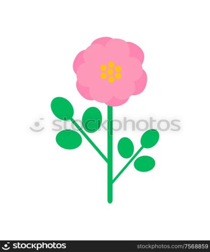 Pink rose-hip flower in cartoon style. Vector isolated blooming bud with green leaves, botanical icon with color floral element, romantic spring blossom. Pink Rose-Hip Flower in Cartoon Style. Vector