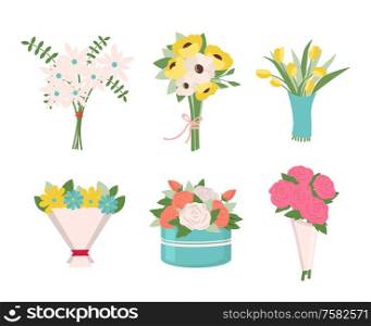 Pink roses put in container vector, isolated icons set, tulips in wrapping, tied together. Filling of bouquets, foliage and greenery leaves, fern. Early spring and summer flower for wedding. Flowers in Bouquets, Roses and Tulips Box Set