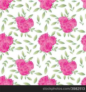 Pink roses seamless pattern on white background. Vector illustration.
